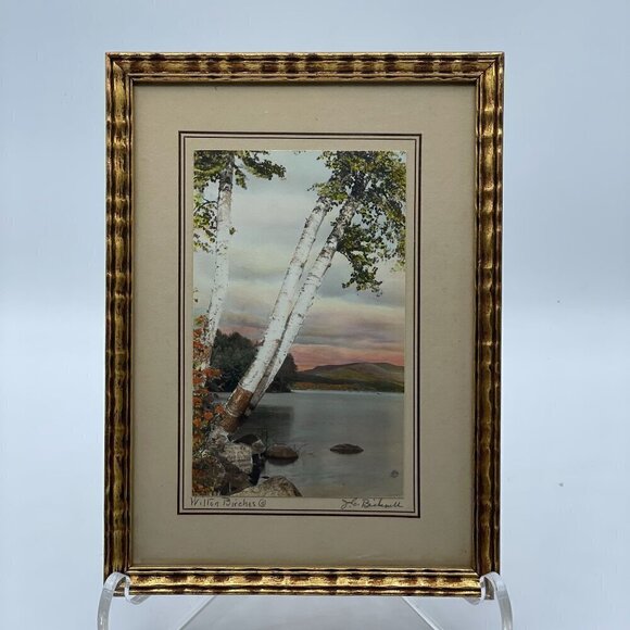 Vintage Hand Tinted Photograph Wilton Birches John Carleton Bicknell Maine Frame - Picture 1 of 8